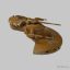 Star Wars - Droid AAT
